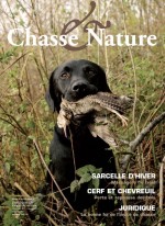 c n dec cover 