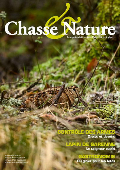 20251126 cn decembre photo