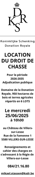 Pub Donation royale