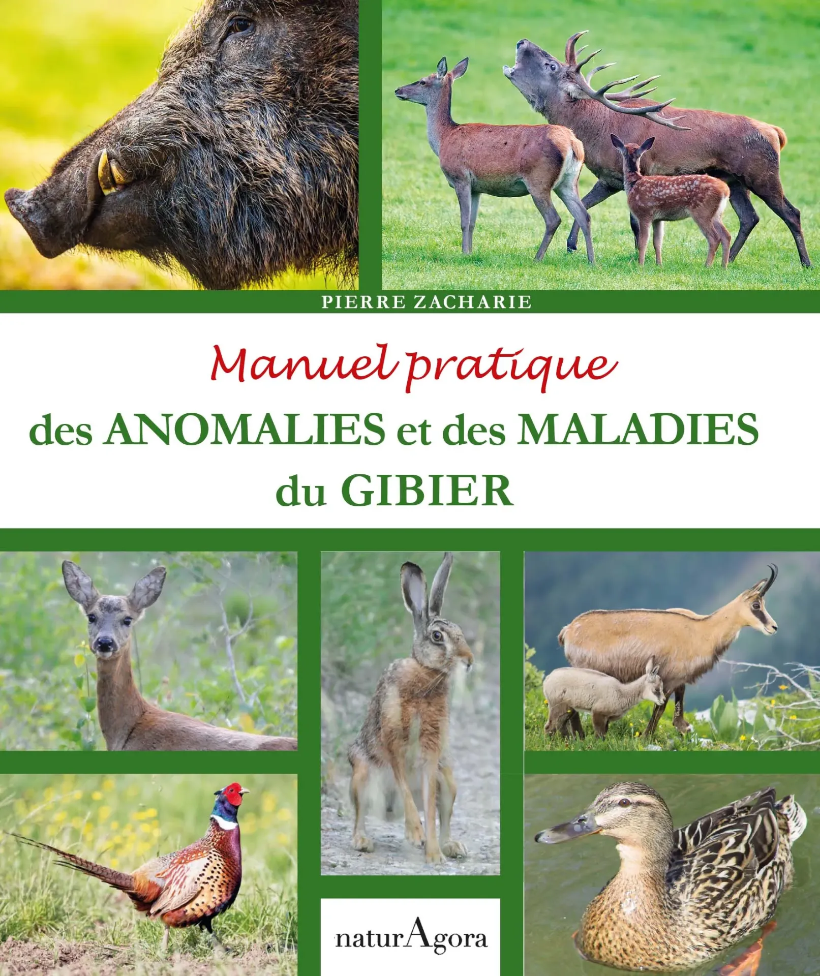 Manuel pratique des anomalies et maladies du gibier